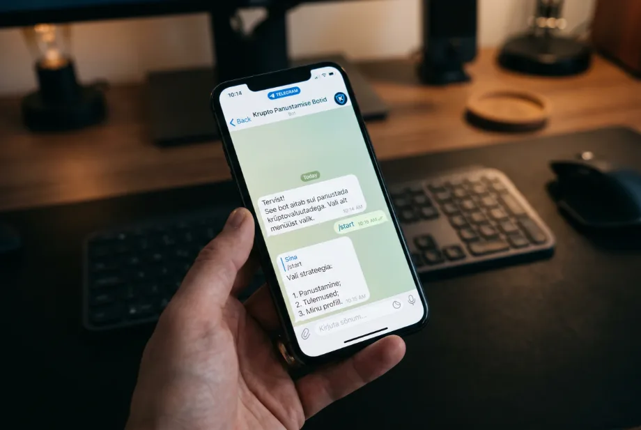 Telegrami krüpto panustamise botide analüüs ja riskid